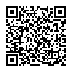 引经据典将一项项罪名罗列到宾利和赵紫薇的头上二维码生成