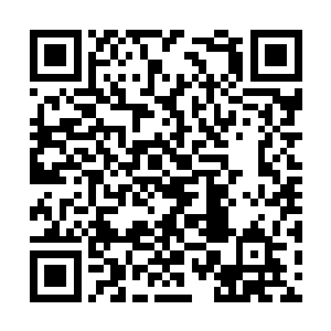 引诱龙宫内的生灵和闯入龙宫之中的修士前去抢夺二维码生成