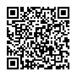 引进造纸厂那么大的项目居然也不通报一下就决定了二维码生成