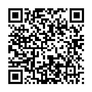 弗拉基米尔当然不会表现得像苏菲亚等人一样大惊小怪二维码生成
