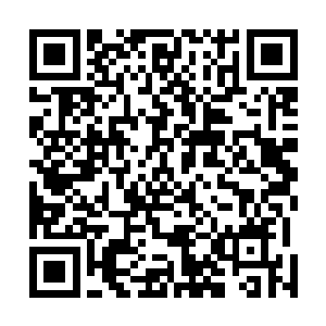 弗拉费塔尔静静的在控台上看着属于穆根的第一场定位赛二维码生成