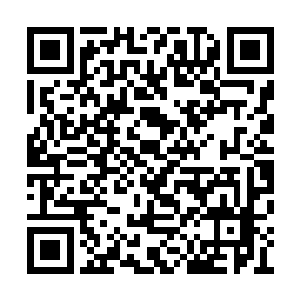 弗洛伦蒂诺为什么要让罗本离开皇家马德里……二维码生成