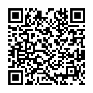 张东城也一定会找过一个好莱坞最知名的摄影师吧二维码生成