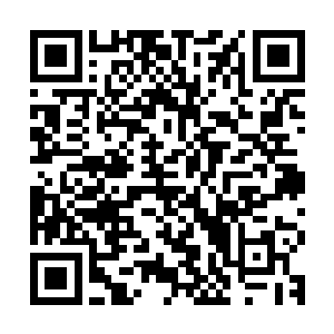 张东城的眼神一直在女孩们迷人的脸庞与诱人的身体上转来转去二维码生成