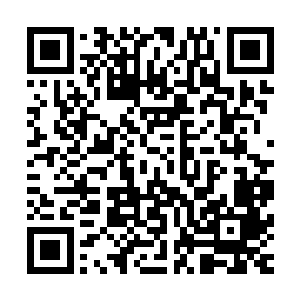 张书记可能先前是顾着和张县长打招呼所以才没有理会自己吧二维码生成
