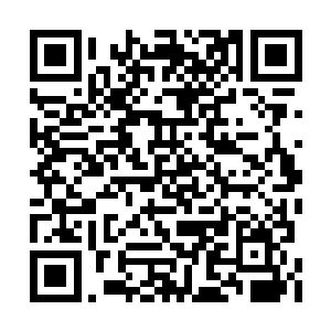 张元防看见的最后一个动作是一个难度极高的体二维码生成