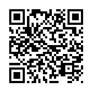 张公鱼和石韦都没有回各自的衙门二维码生成