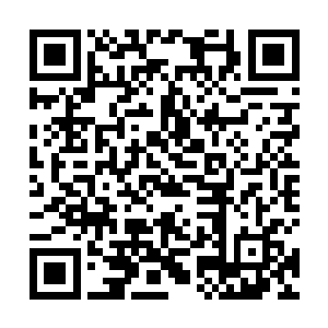 张卫东意外的第一次当面见到了一名金丹真人祁连凌光二维码生成