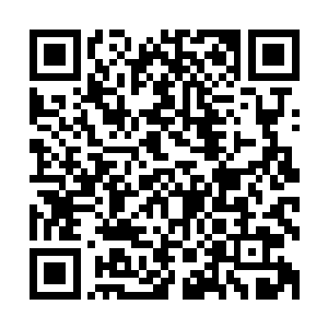 张口嚎叫之下更是一道道风刃从它口中飞出切割着四周的大树二维码生成