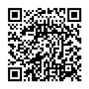 张姓男子陡然从自己的小乾坤袋内掏出了三颗黑黝黝的天雷子二维码生成