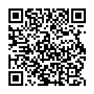 张宁的巨型代言海报出现在了尚动俱乐部外墙上二维码生成