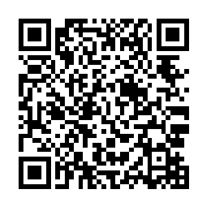 张家地下山洞内的阵法光幕当时判定是荧光石镶嵌得来的二维码生成