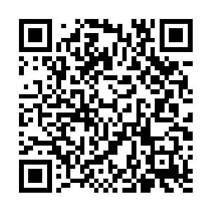 张家父母自然不会同意掌上明珠嫁给一个无所依托的孤儿二维码生成