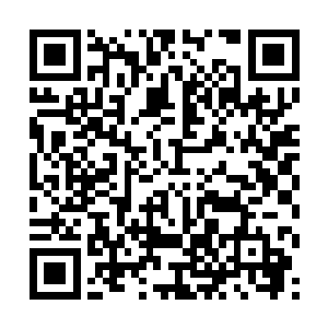 张小凡也怕那个楚穆趁这个时候对姜美玲做点儿什么二维码生成