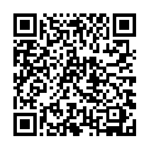 张小凡果断的替花悠悠接下了已经受伤颇重的马云禄二维码生成