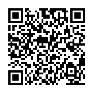 张小凡正一脸笑意的看着豆豆在几个女教练的教导下二维码生成