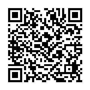 张强与黄埔云之间的默契不是一般人能比的了的二维码生成