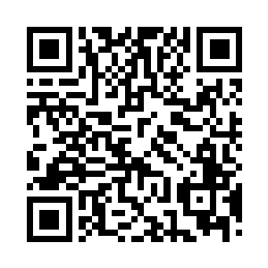 张智凝视着金那双如琉璃宝石般透亮的眸子二维码生成