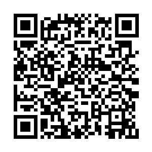 张潇晗回礼的五滴龙血在普通修士看来也足够了二维码生成