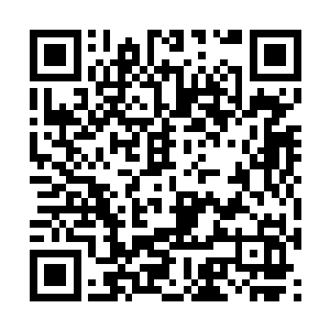 张潇晗在拍卖厅暴露身份到现在更是一天多的时间二维码生成