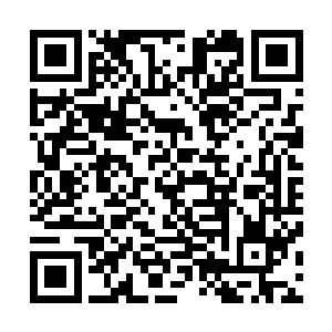 张潇晗的声音好像从这把被温养了数千年的飞剑中再次传出二维码生成
