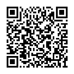 张潇晗的手指不由又轻轻敲打了几下椅子的扶手二维码生成