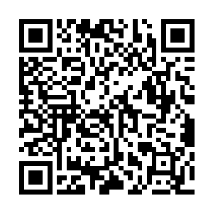 张潇晗的第三只眼可以透过修士的身体见到他们体内的元婴二维码生成