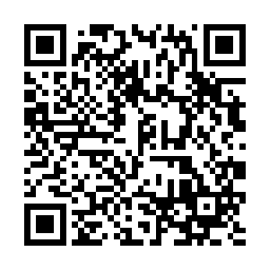 张潇晗的轻叹声从卷轴内直接作用到沐随风的脑海里二维码生成