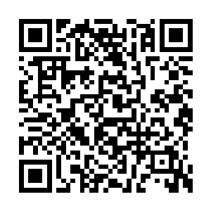 张潇晗瞧着莫少寒还想要依靠腰腿的力量站起来二维码生成