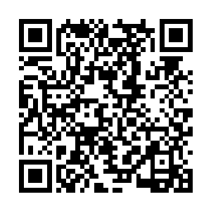 张潇晗进去的这个山洞足足走了一刻钟才到了内部二维码生成