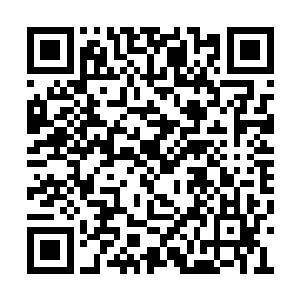 张父过世后将所有的东西都留给了大夫人张青纨二维码生成