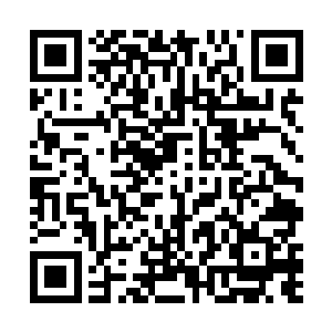 张璐涵被我碰到之后像是触电了似的急忙把手收了回去二维码生成