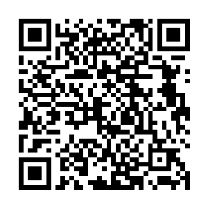 张生准备吃的差不多的时候再跟王校长讲花桂兰的事情二维码生成