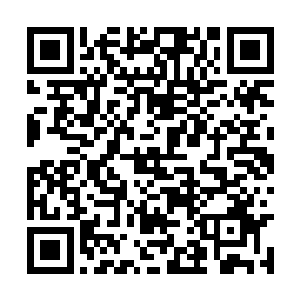 张生对东山县的这位首要人物自然要有一定的了解二维码生成