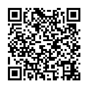 张萧晗也感觉不出这些魂魄的修为恢复到什么程度二维码生成