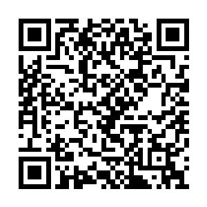 张诗芮和张博毅一脸茫然的看向了噬血魔族族长二维码生成