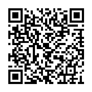 张铁一边泡着一边大口的喝着烈焰红莲子泡的酒二维码生成