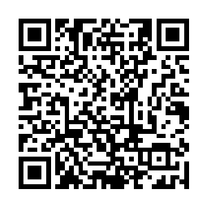 张铁与广南王府联姻最关键是张铁自己的分量和态度二维码生成