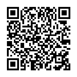 张铁也不断的咬着牙召唤出魔族战士加入到献祭的行列中二维码生成