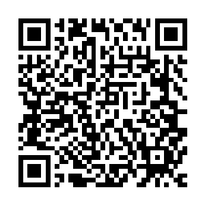 张铁也想找个熟人了解一下现在地元界和雄狮要塞之中的情况二维码生成