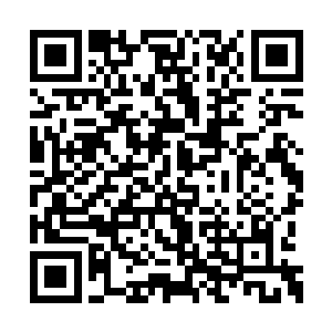 张铁也老老实实的在刺球上刺了自己的手指一下二维码生成