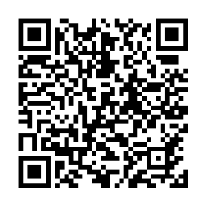 张铁也隔着房门和墙壁看到了太乙玄门叫风夜笑的那个长老二维码生成
