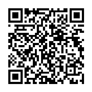 张铁再次把自己的手掌放在了那个有着法阵的平台上二维码生成