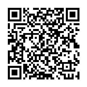 张铁化身的小甲虫紧紧贴在一个容器底部的内侧边缘二维码生成