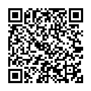 张铁化身的黑色小甲虫就从这些侍女们住的地方飞了出来二维码生成