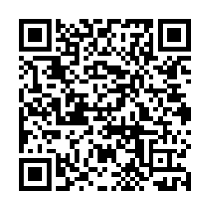 张铁发现了一个适合修炼他发明的熊背铁胎功的好地方二维码生成