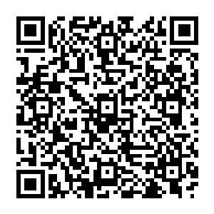 张铁实在是非常期待那个被称为动物界的力量之王的黄金独角仙的救赎之果是什么样的滋味二维码生成
