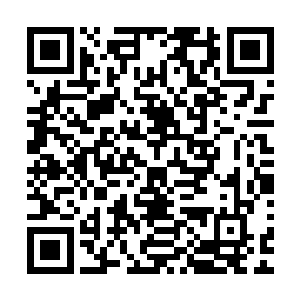 张铁就大概知道了红山城赢家与武皇神殿到底是什么样的关系二维码生成