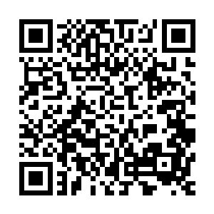 张铁就有一种回到野狼山谷试炼时进入他们的那颗树屋的感觉二维码生成