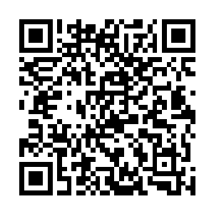 张铁就看到云龙神君的云龙法相挣扎着想要从地面上飞起二维码生成